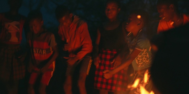 Video Reference: Fire, Heat, Campfire, Event, Darkness, Crowd, Art