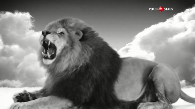 Video Reference: wildlife, black and white, mammal, lion, monochrome photography, fauna, roar, emotion, terrestrial animal, monochrome