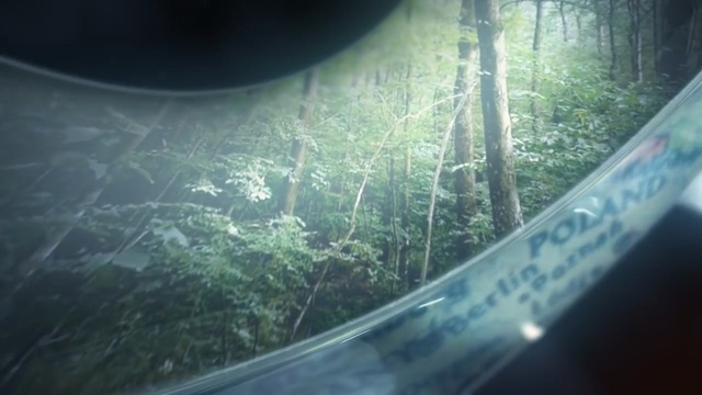 Video Reference: water, green, nature, light, sunlight, leaf, photography, atmosphere, reflection, forest