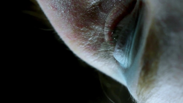 Video Reference: eye, close up, macro photography, mouth, jaw, organism, organ, snout, iris