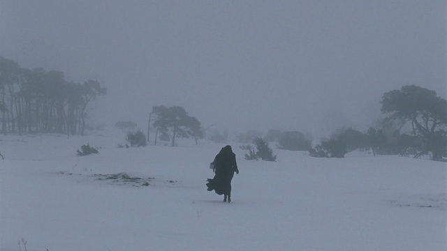 Video Reference: snow, winter, geological phenomenon, winter storm, freezing, blizzard, sky, piste, frost, arctic, Person