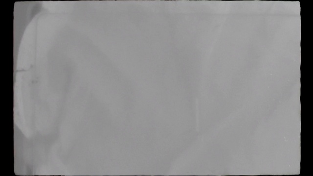 Video Reference: White, Paper, Linens, Textile, Rectangle, Sitting, Table, Refrigerator, Bag, Man, Shirt, Cat, Oven, Fog, Text, Envelope