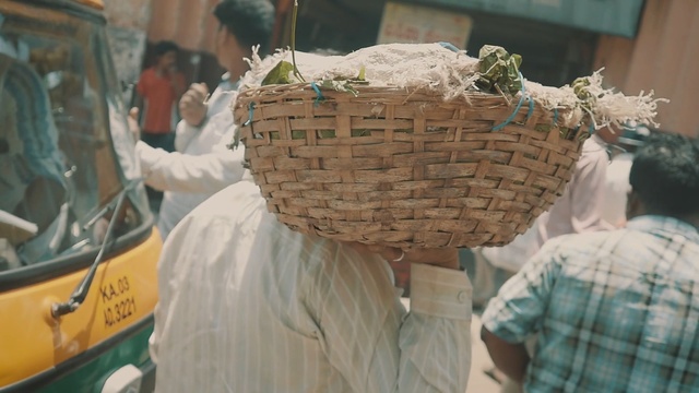 Video Reference: Basket, Adaptation, Plant