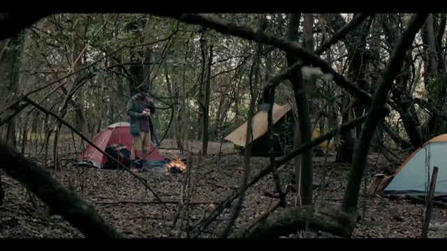 Video Reference: woodland, tree, nature, forest, wilderness, ecosystem, woody plant, vertebrate, branch, plant, Person