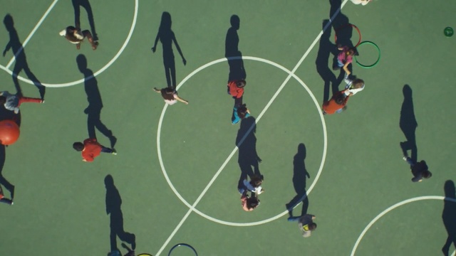 Video Reference: player, sport venue, competition event, sports, grass, team sport, recreation, Person