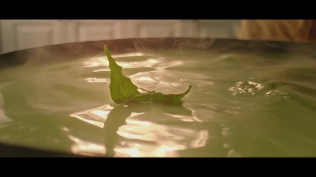 Video Reference: Water, Nature, Green, Leaf, Drop, Aquatic plant, Plant, Photography, Landscape, Reflection