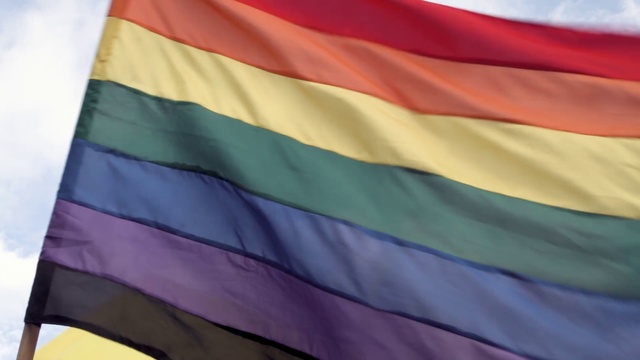 Video Reference: Flag, Silk, Textile, Magenta