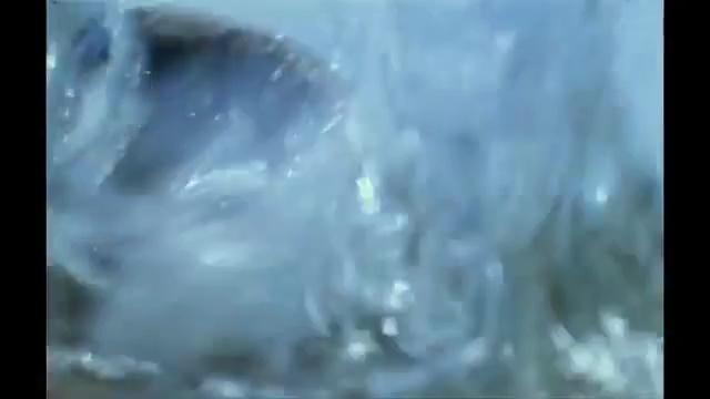 Video Reference: Water, Ice, Freezing, Sky, Geological phenomenon, Crystal, Person