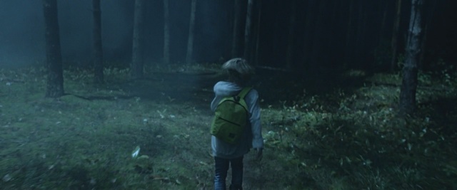 Video Reference: ecosystem, forest, darkness, tree, screenshot, atmosphere, grass, biome, night, midnight