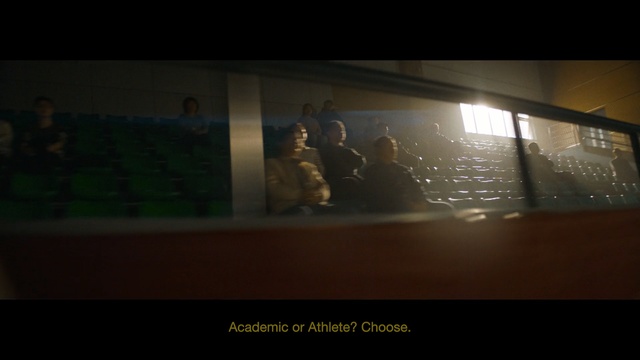 Video Reference: Black, Photograph, Green, Light, Text, Snapshot, Darkness, Mode of transport, Photography, Night, Photo, Computer, Table, Sitting, Laptop, Screen, Dark, Bird, Man, Display, Large, Monitor, Standing, Desk, Bear, Woman, Room, Glass, Water, Holding, Vase, Bed, People, Screenshot, Person, Human face