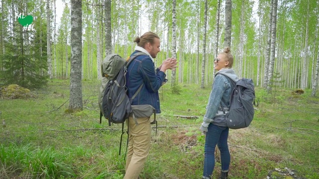 Video Reference: Natural landscape, Nature reserve, Woodland, Forest, Natural environment, Tree, Northern hardwood forest, Old-growth forest, Plant, Recreation