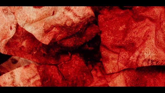 Video Reference: Red, Rock, Close-up, Leaf, Flesh, Carmine, Stock photography, Textile, Photography, Petal