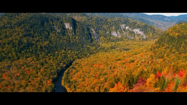 Video Reference: Nature, Leaf, Natural landscape, Wilderness, Vegetation, Mountainous landforms, Natural environment, Biome, Tree, Mountain