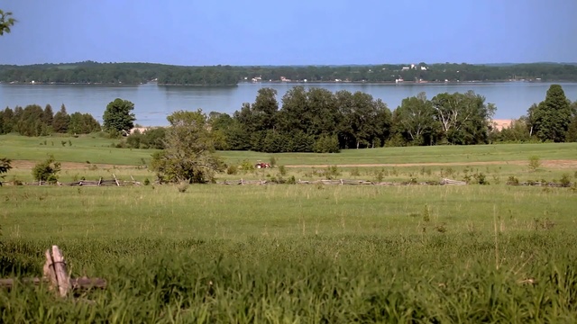 Video Reference: grassland, pasture, field, meadow, nature reserve, grass, prairie, tree, rural area, plain