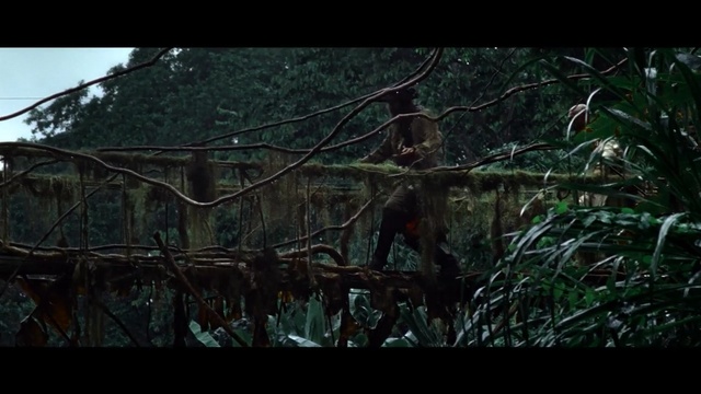 Video Reference: nature, vegetation, tree, jungle, forest, branch, screenshot, water, darkness, plant