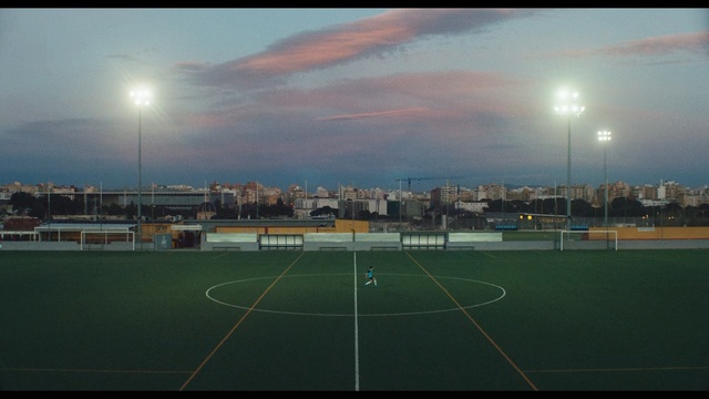 Video Reference: Sport venue, Sky, Stadium, Atmosphere, Grass, Light, Daytime, Cloud, Evening, Artificial turf