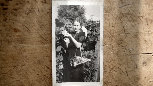 Video Reference: Photograph, Snapshot, Tree, Photography, Black-and-white, Photographic paper, Stock photography, Wood, Art, Illustration