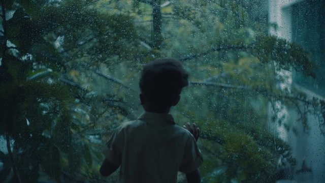Video Reference: Nature, Green, Forest, Organism, Water, Underwater, Tree, Jungle, Rainforest, Marine biology