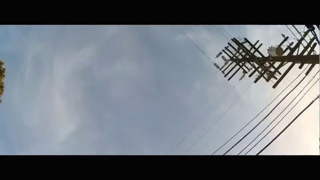 Video Reference: Sky, Daytime, Cloud, Tree, Line, Atmosphere, Architecture, Branch, Cumulus, Plant