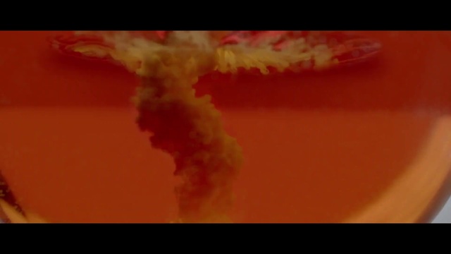 Video Reference: Red, Orange, Close-up, Sky, Macro photography, Organism, Font, Smoke, Heat, Geological phenomenon, Food, Cake, Sitting, Table, Fork, Piece, Eaten, Close, Half, Dog, Computer, Hot, Yellow, Holding, Pizza, Man, Plate, White