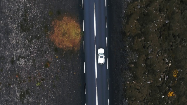 Video Reference: Line, Automotive exterior, Tree, Automotive wheel system, Soil, Vehicle door, Automotive tire, Auto part, Automotive window part, Asphalt