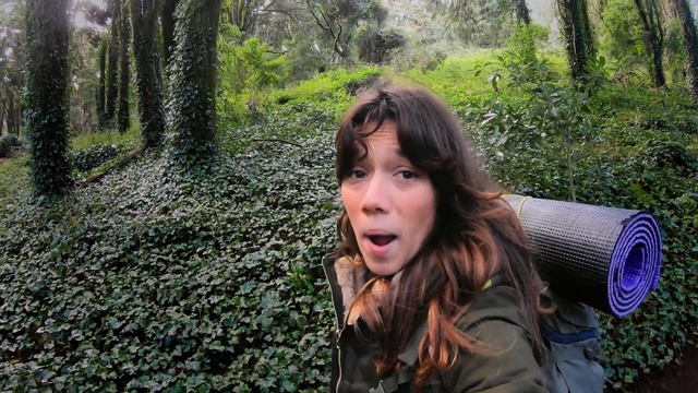Video Reference: Forest, Natural environment, Jungle, Wilderness, Woodland, Tree, Old-growth forest, Adaptation, Rainforest, Valdivian temperate rain forest, Person