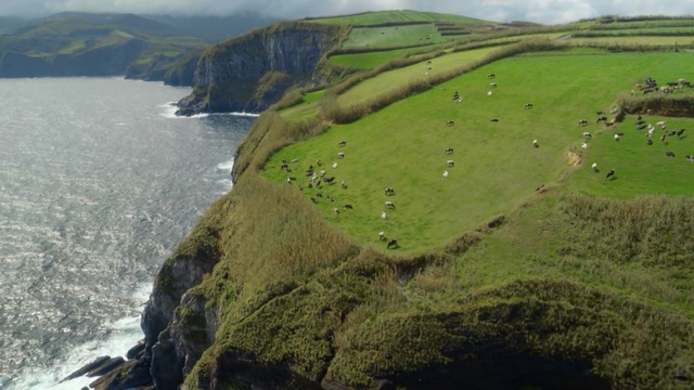 Video Reference: coast, nature reserve, promontory, cliff, highland, terrain, hill station, escarpment, grass, hill