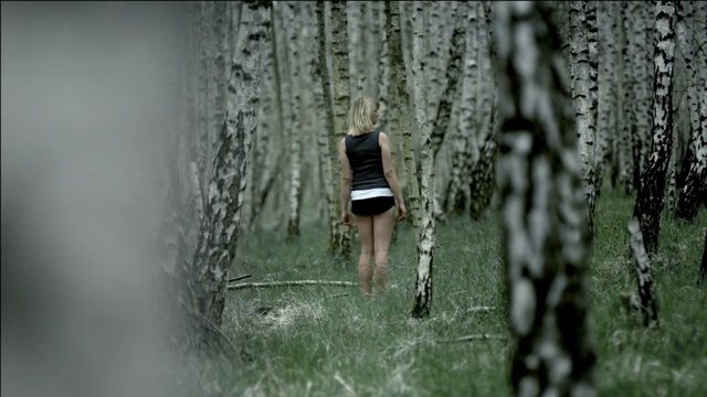 Video Reference: tree, woody plant, ecosystem, plant, forest, grass, woodland, branch, grass family, trunk, Person