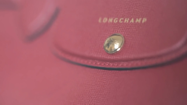 Video Reference: Pink, Red, Magenta, Material property, Macro photography, Coin purse, Fashion accessory