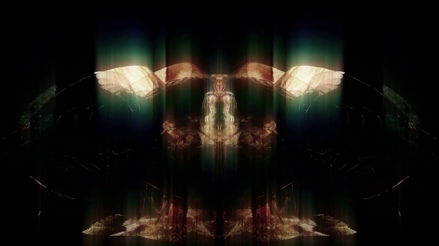 Video Reference: Darkness, Light, Symmetry, Fiction, Fractal art, Art, Stage, Organism, Font, Graphics