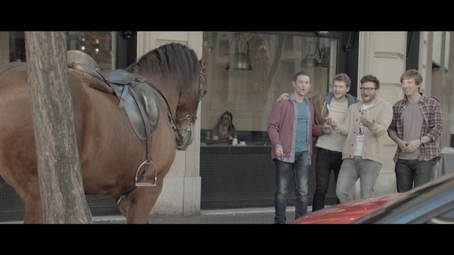 Video Reference: Horse, Snapshot, Fun, Horse tack, Eye, Human, Photography, Horse supplies, Mane, Temple, Person