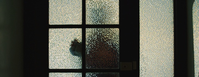 Video Reference: Glass, Window, Pattern, Design, Shadow, Door, Tints and shades, Tile, Daylighting, Indoor, Building, Sitting, Looking, Room, Tiled, View, Large, Mirror, Standing, Doorway, Kitchen, Reflection, Black, Brown, Green, Hanging, Dog, Table, White, Vase, Shower, Train, Reef, Aquarium, Abstract
