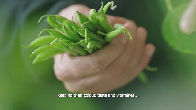Video Reference: Leaf, Plant, Flower, Vegetable, Hand, Finger, Flowering plant, Food, Vegetarian food