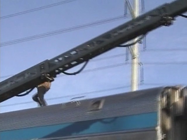 Video Reference: mode of transport, roof, sky, tree