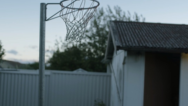 Video Reference: Basketball hoop, Basketball, Basketball court, Net, Fence, Tree, Team sport, Roof, Sport venue