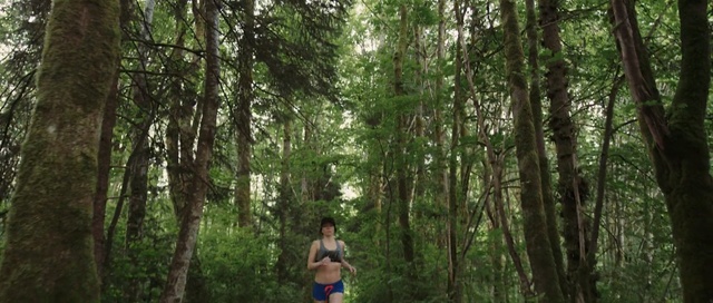 Video Reference: Forest, Tree, Nature, Jungle, Old-growth forest, Natural environment, Woodland, Nature reserve, Valdivian temperate rain forest, Vegetation