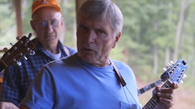Video Reference: String instrument, Plucked string instruments, Ukulele, Musical instrument, Guitar