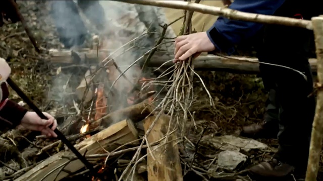 Video Reference: bonfire, wood, hand, forest, Person