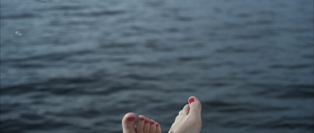 Video Reference: water, sea, seabird, foot, wave, ocean, water bird, sky, bird, river