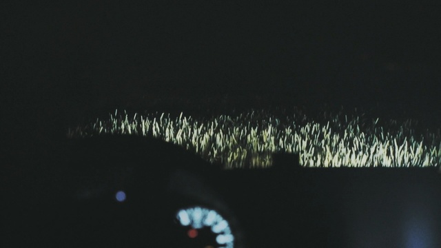 Video Reference: Black, Water, Night, Darkness, Green, Light, Sky, Organism, Midnight, Font