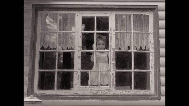 Video Reference: Window, White, Sash window, Black-and-white, Monochrome, Photography, Glass, Door, Building, Person, Photo, Small, Black, Looking, Sitting, Old, Brick, Room, Living, Dog, Cat, Man, Kitchen, Street, House, Clothing, Black and white