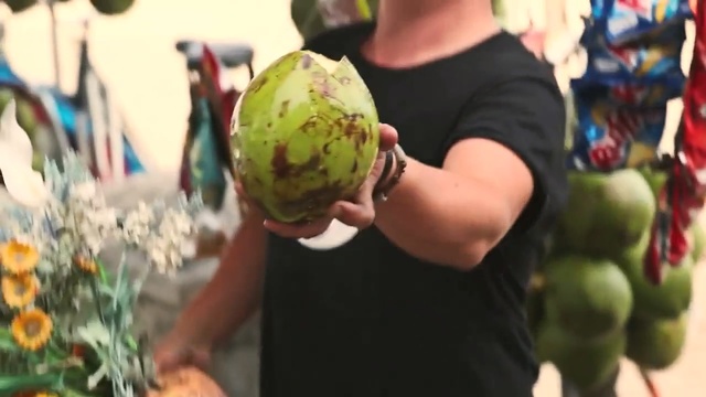 Video Reference: Citrullus, Watermelon, Local food, Plant, Fruit, Melon, Food, Vegetable, Art