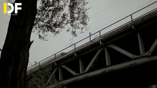 Video Reference: White, Black, Bridge, Black-and-white, Sky, Transport, Monochrome, Tree, Architecture, Line