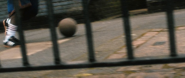 Video Reference: Iron, Zoo, Metal, Recreation