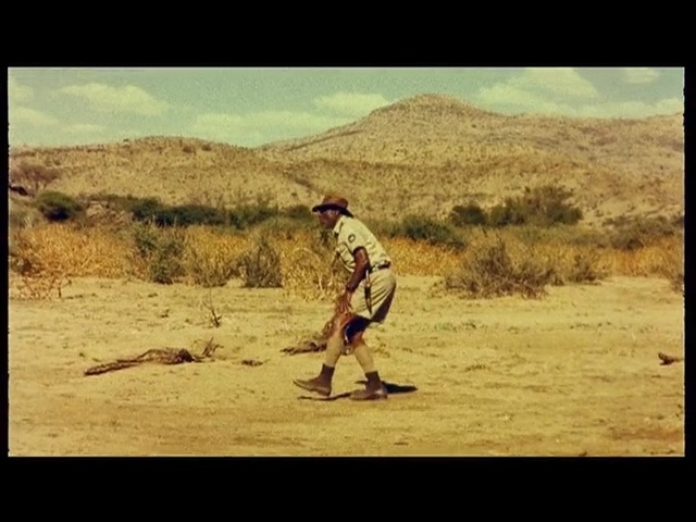 Video Reference: ecosystem, sand, wilderness, sky, landscape, plain, steppe, ecoregion, soil, sahara