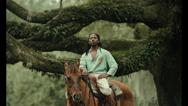 Video Reference: Horse, Ecoregion, Rein, Screenshot, Recreation, Landscape