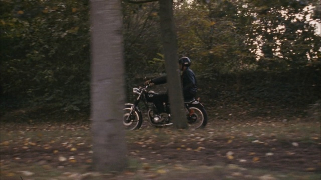 Video Reference: land vehicle, bicycle, tree, woody plant, woodland, mountain bike, path, vehicle, forest, trail, Person