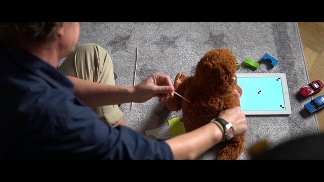 Video Reference: Poodle, Hand, Sporting Group, Teddy bear