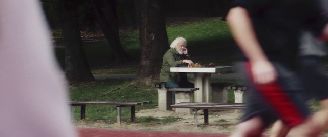 Video Reference: Fun, Tree, Recreation, Leisure