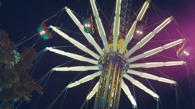 Video Reference: tourist attraction, organism, amusement ride, sky, computer wallpaper, darkness, night, symmetry, world, space